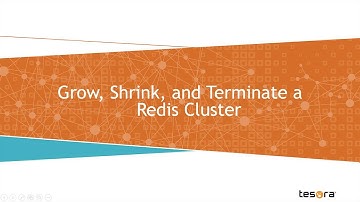 Grow, Shrink, and Terminate a Redis Cluster