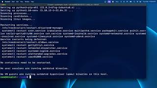 Python Virtual Environment in Linux