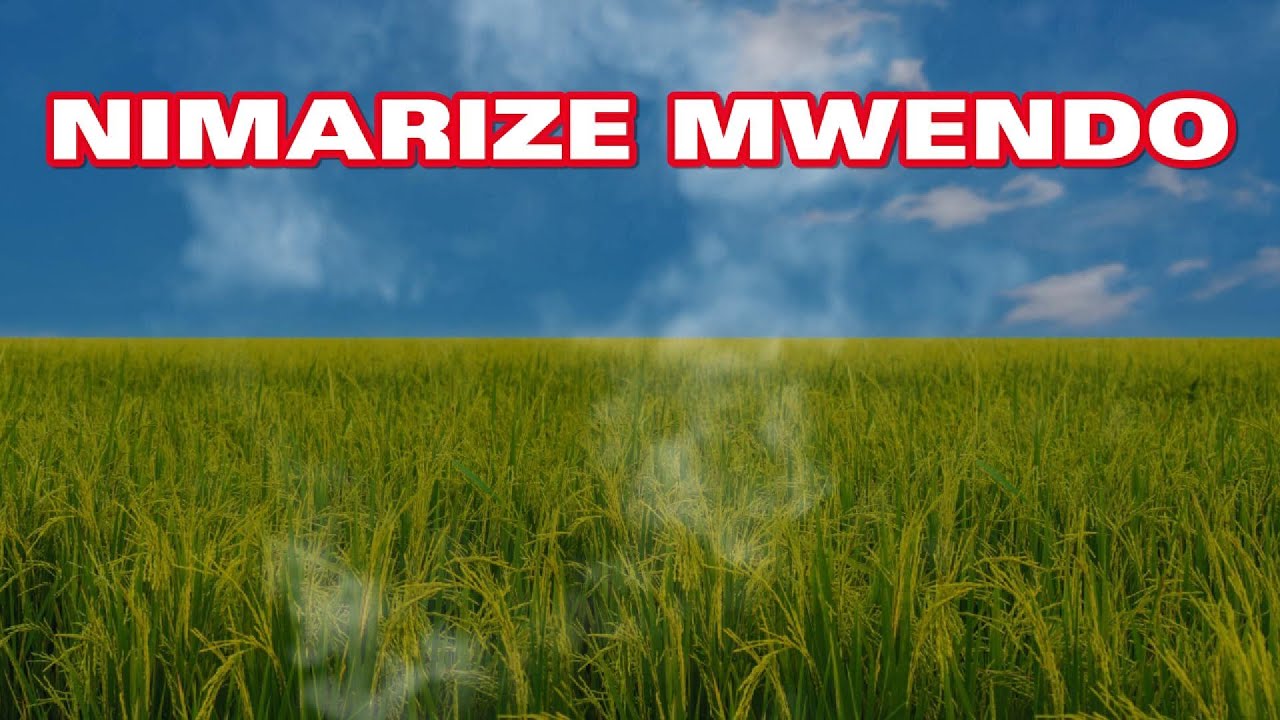 NIMARIZE MWENDO