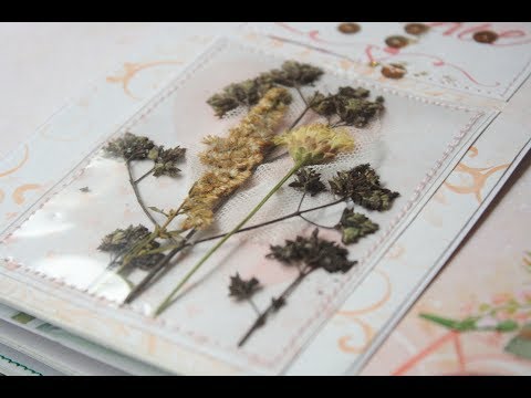 Сухоцветы: как сушить? чем клеить?