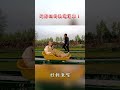 超好玩的軌道滑車！ #大陸尋奇 #巢湖 #刺激 #安徽 #合肥 #林莎 #shorts@ctvchinatv ​