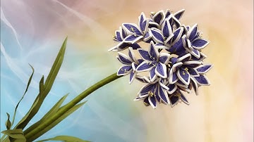 ABC TV | How To Make Agapanthus Paper Flower | Paper Quilling - Craft Tutorial