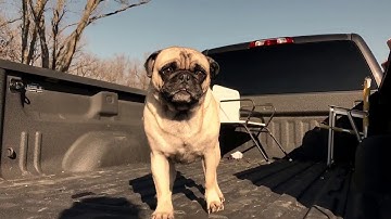 Video Demo // Shot on iPhone 7 + Zhiyun Smooth Q gimbal test