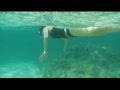 SNORKELING ADVENTURE IN KAUAI