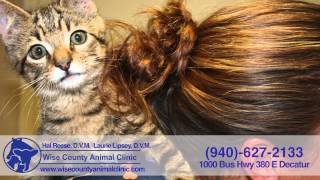 Wise County Animal Clinic 2015