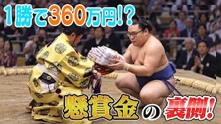 【大相撲解説】知られざる「懸賞金」の裏側！金額の内訳から最高記録まで徹底解説【SUMO BROS.】