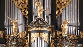 Sietze De Vries - Den Haag Lutherse Kerk, Bach, Fantasia Fuga C-Moll