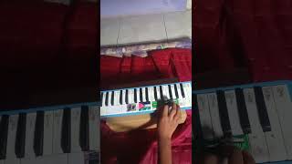 Download Lagu basuri sholawat Kids Panda 🐼#basuri #pianikabasuri MP3