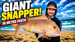 The Aeroo Doesn't Miss! Epic Perth Metro Snapper Mission