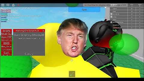 Roblox Exploiting | Fencing | Hacker101