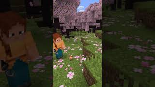 Minecraft Short #minecraft #catytech #catytechminecraft