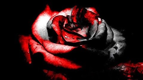 New Intro For Cursed