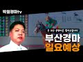 1월 15일 박철의 부산경마 일요예상