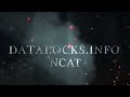Using NCAT for File Transfers & Remote Shells | Beginner Tutorial