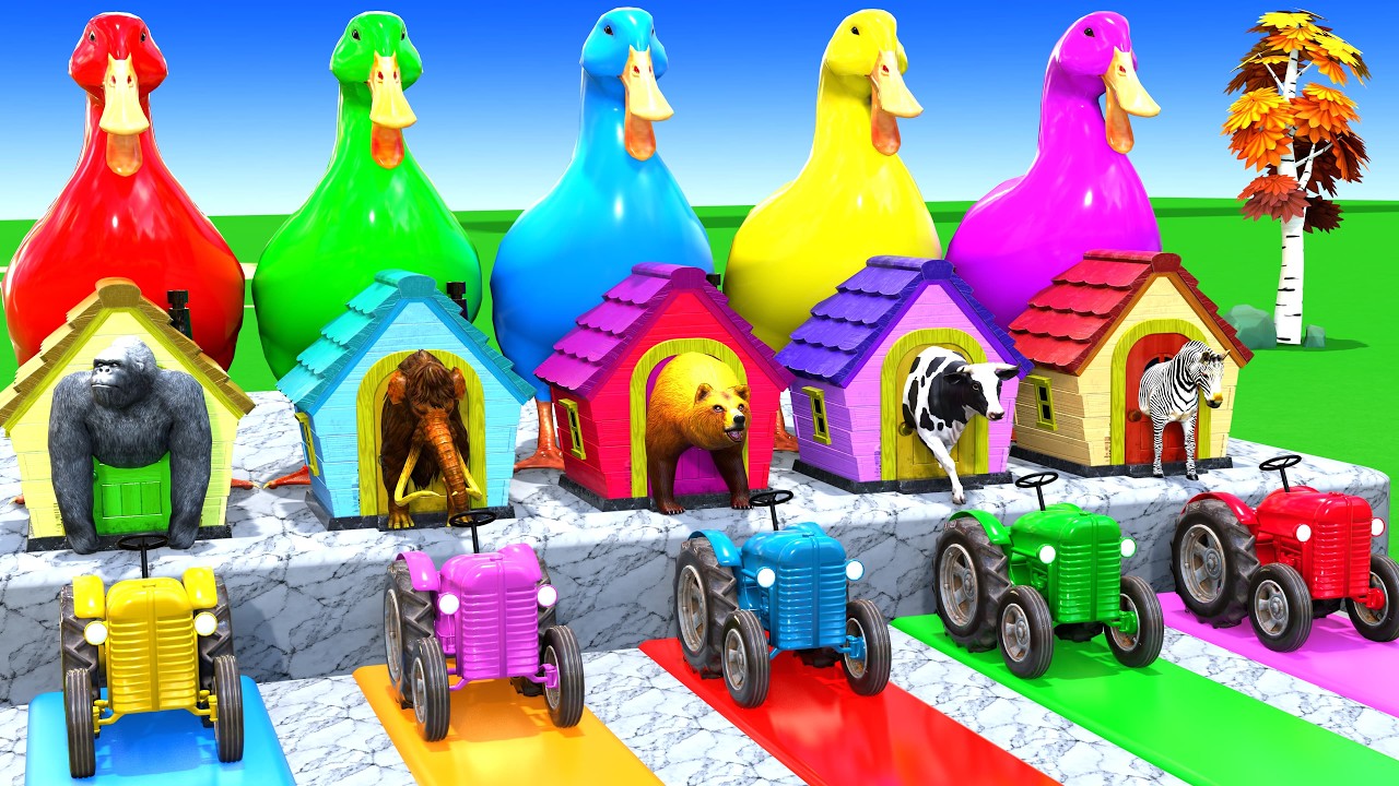 Long Slide Game With Cow Elephant Gorilla Hippopotamus Tiger 3d Animal Game Funny 3d AnimalsVideo