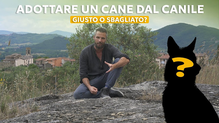 COME SCEGLIERE UN CANE IN CANILE