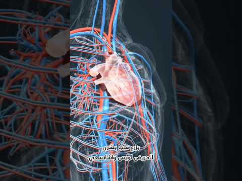 معلومات مدهشة عن القلب