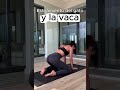 🧘‍♀️ Cat-Cow Stretch — The Best Exercise for a Healthy Back! #bodyflow #flexibility #relaxation
