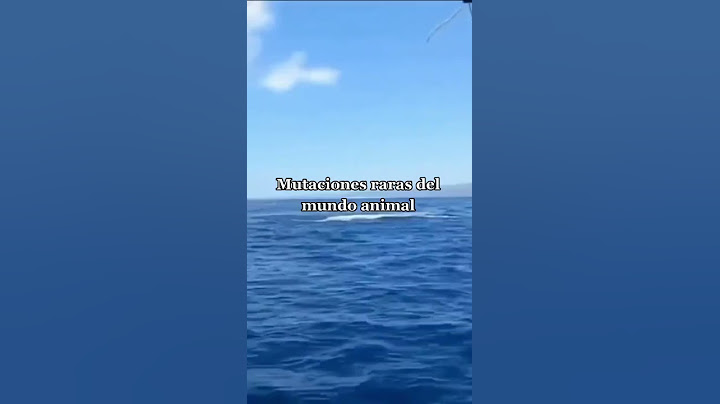 Mutaciones raras del mundo animal
