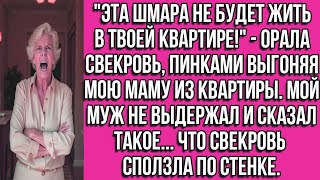 картинка: _ЭТА ШМAРА НЕ БУДЕТ ЖИТЬ В ТВОЕЙ КВАРТИРЕ!_ - ОРАЛА СВЕКРОВЬ, ПИНКАМИ ВЫГОНЯЯ МОЮ МАМУ ИЗ КВАРТИРЫ