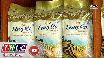An toàn thực phẩm trong lĩnh vực nông nghiệp | THLC