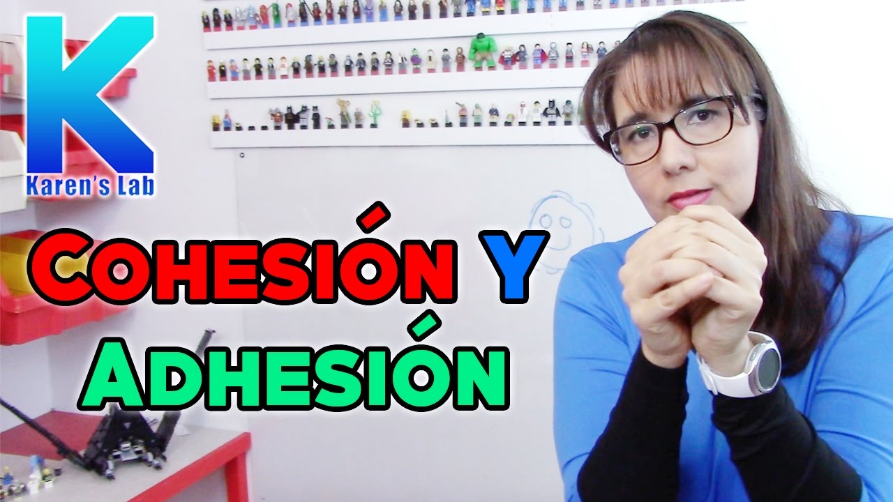 Cohesión, Adhesión, Capilaridad, Solubilidad / Camino a las MEGA BURBUJAS |  Karen's Lab - YouTube
