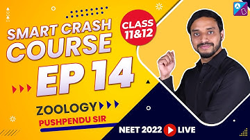 Best NEET Biology (Zoology) Crash Course for Free (Ep 14) - NEET Smart Crash Course 2022