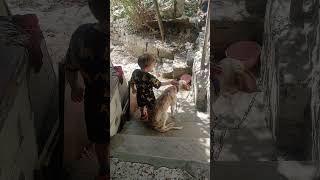 Köpekcik Den Öpücük😂