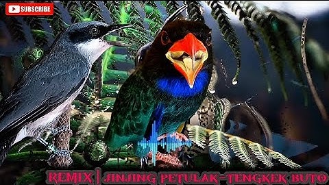 MASTERAN SUARA KASAR | tengkek buto vvs jinjing petulak
