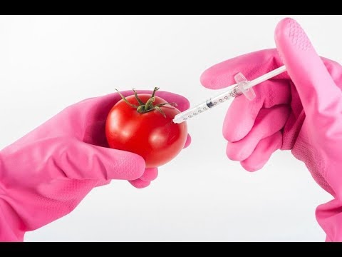 Video: GMO Hrana Može Biti čak I Korisna Za Zdravlje - Alternativni Prikaz