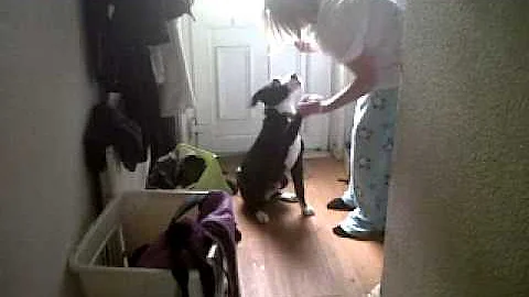 my girl teaching a friends dog