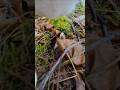 Cat POV: Barely Made It!