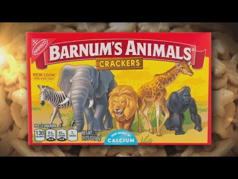 Video: Animal Crackers Box Får En Fornyelse Efter PETA-andragende