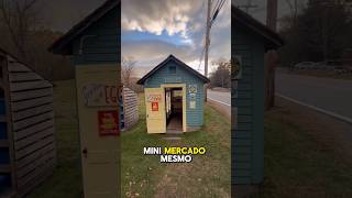 mini mercado autônomo nos EUA! 📽️Ricardo.regilio #fazenda #gado #pecuarista #roca #agro #nelore