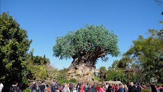Take a complete walk around disney's animal kingdom in 4k uhd 60fps!
this was filmed on february 2nd 2020 at 10am to 11am. how much do you
like animal...