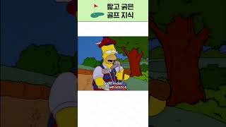 캐디가 말 안 해주는 골프장 꿀팁 3가지 (이건 진짜 몰랐지?)