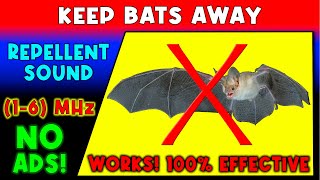 ANTI BATS REPELLENT SOUND ⛔🦇 KEEP BATS AWAY - ULTRASONIC SOUND