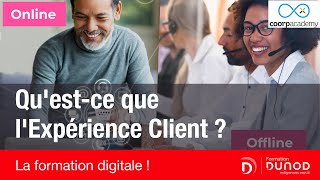 Quest-ce que lExpérience Client  [Formation Digitale] - Dunod