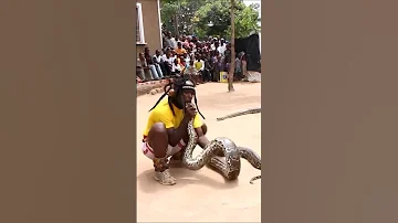 Sukuma Python 2 