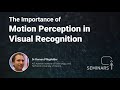 The Importance of Motion Perception in Visual Recognition - Roman Pflugfelder