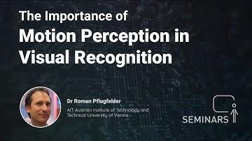 The Importance of Motion Perception in Visual Recognition - Roman Pflugfelder