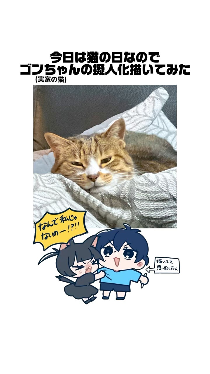 🐈‍⬛くろねこちゃんまとめ🐾 - YouTube