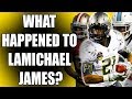 What Happened To Lamichael James After He Went Pro? (2017)