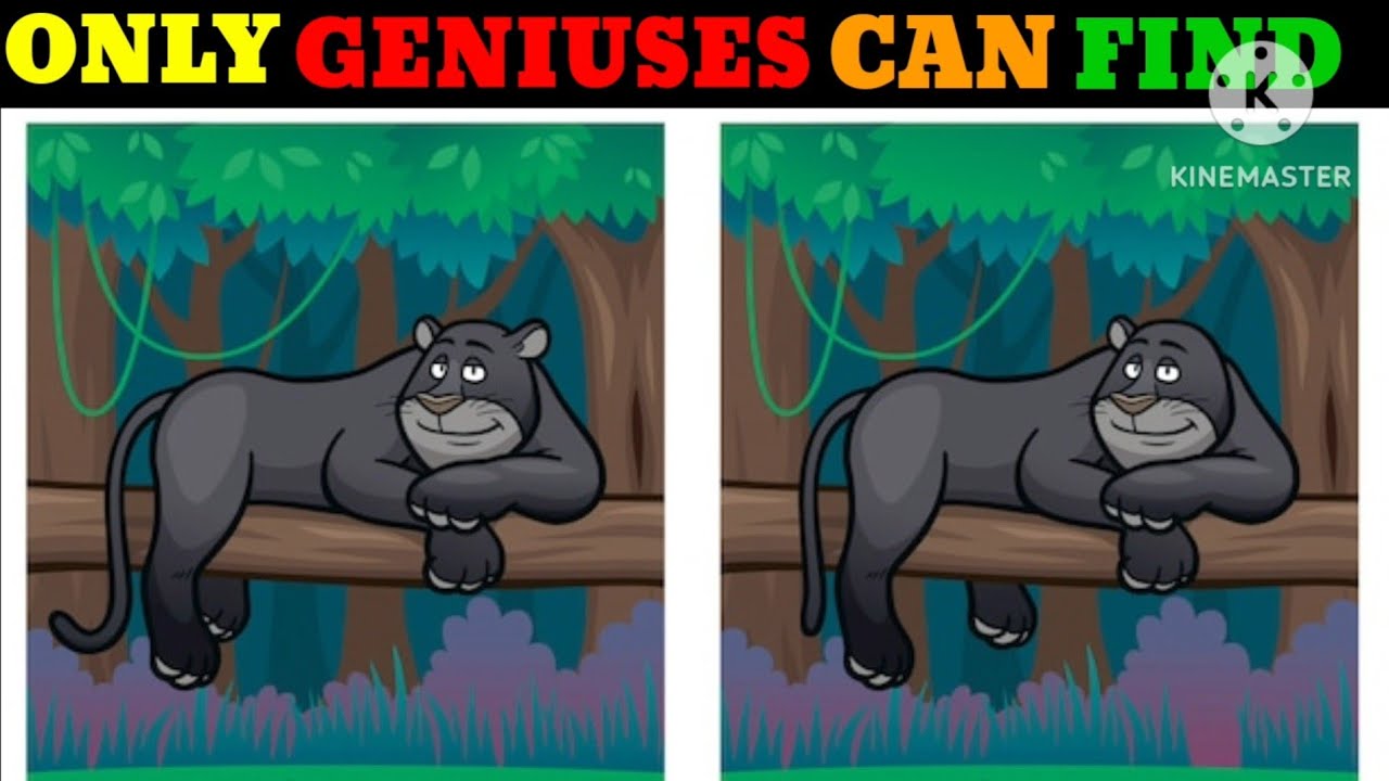 Spot the Difference : Only Geniuse Can Find Differences [ Spot the ...