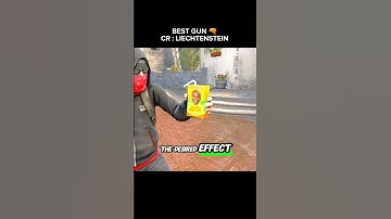 Best Gun In Counter Strike? 😂 By Liechtenstein #csgo #cs2