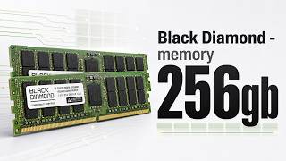 Black Diamond - memory 256gb (2 x 128gb) 288-pin ddr4 sdram ecc registered ddr4 24
