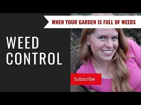 Video: Vanliga tesellfakta - Lär dig mer om tesellogräsbekämpning i trädgårdar