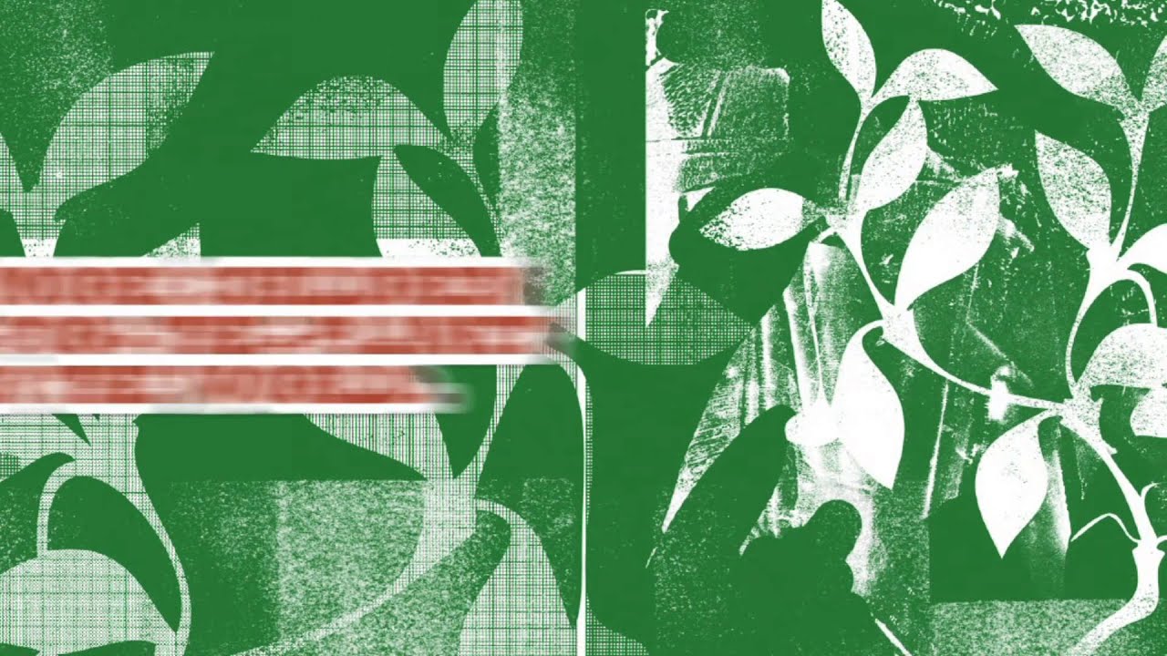 Campanha "Plant for the Planet" Legenda em Português