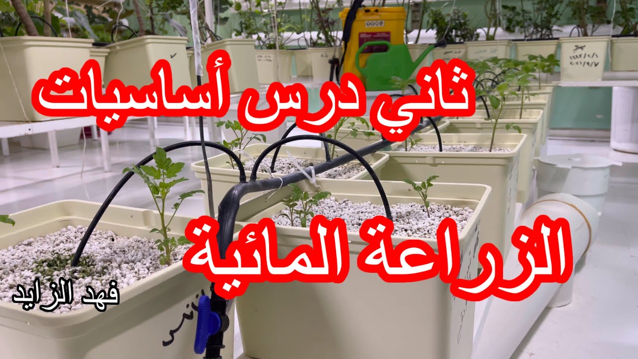 الدرس الثاني اساسيات الزراعة المائية الهيدروبنك.