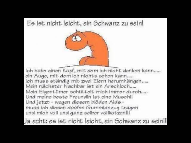 DIE STOAKOGLER - STOANI MARSCH